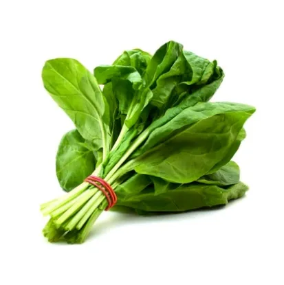 Picture of Vegetable Spinach