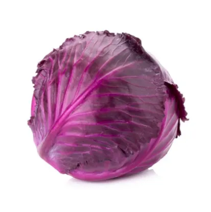 Picture of Cabbage Red